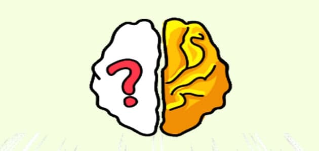 Brain Out