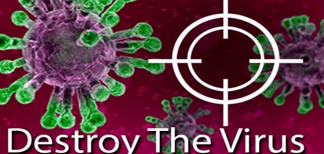 Destroy the Virus