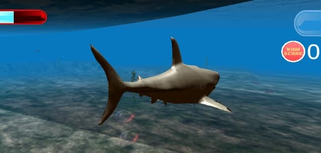 Megalodon