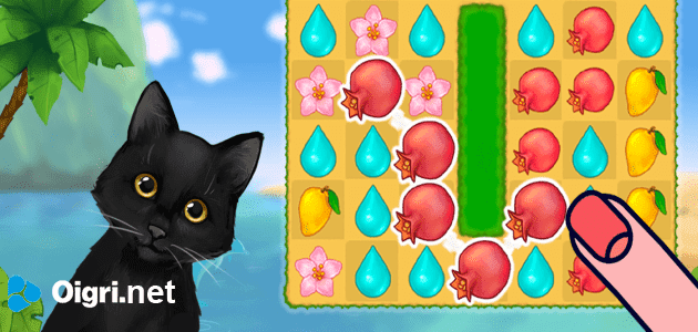 Island puzzle