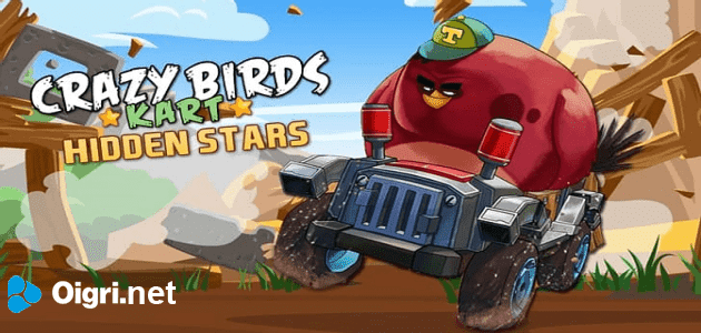 Crazy birds kart hidden start